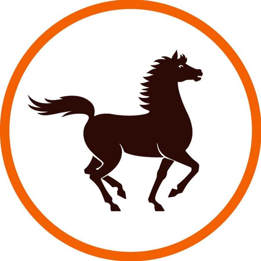 IPTV Maroc banque 1
